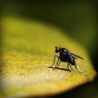 /album/taicowussme/photolia-a07-jpg/
